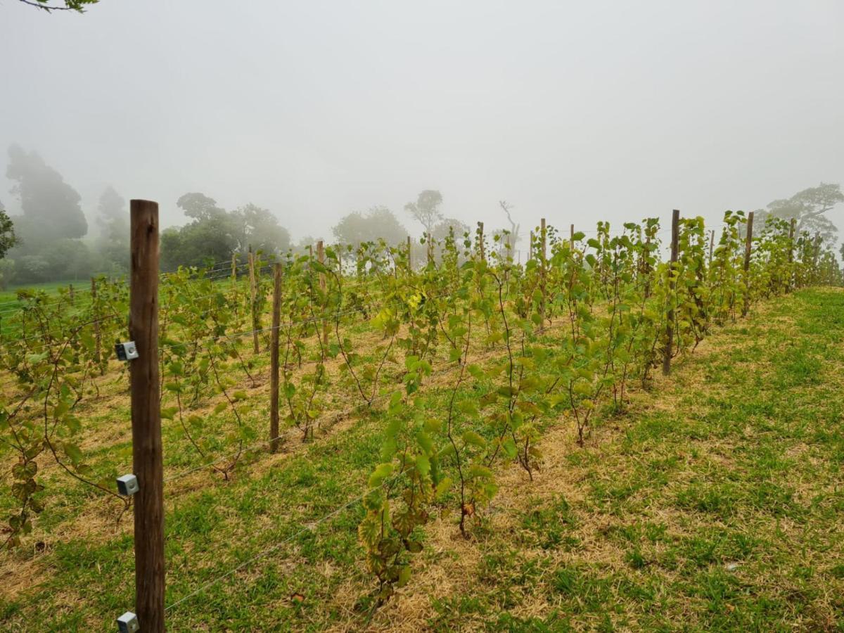 Chales Vinhas Da Harmonia L Pousada Em Cunha Sp Εξωτερικό φωτογραφία