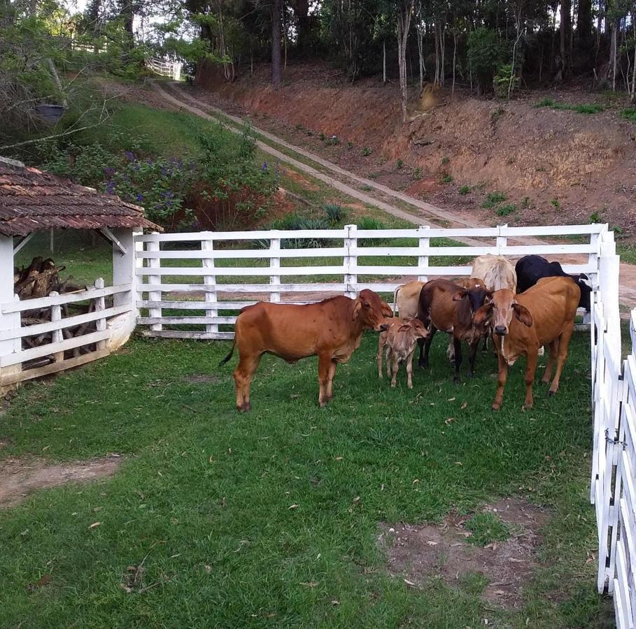 Chales Vinhas Da Harmonia L Pousada Em Cunha Sp Εξωτερικό φωτογραφία