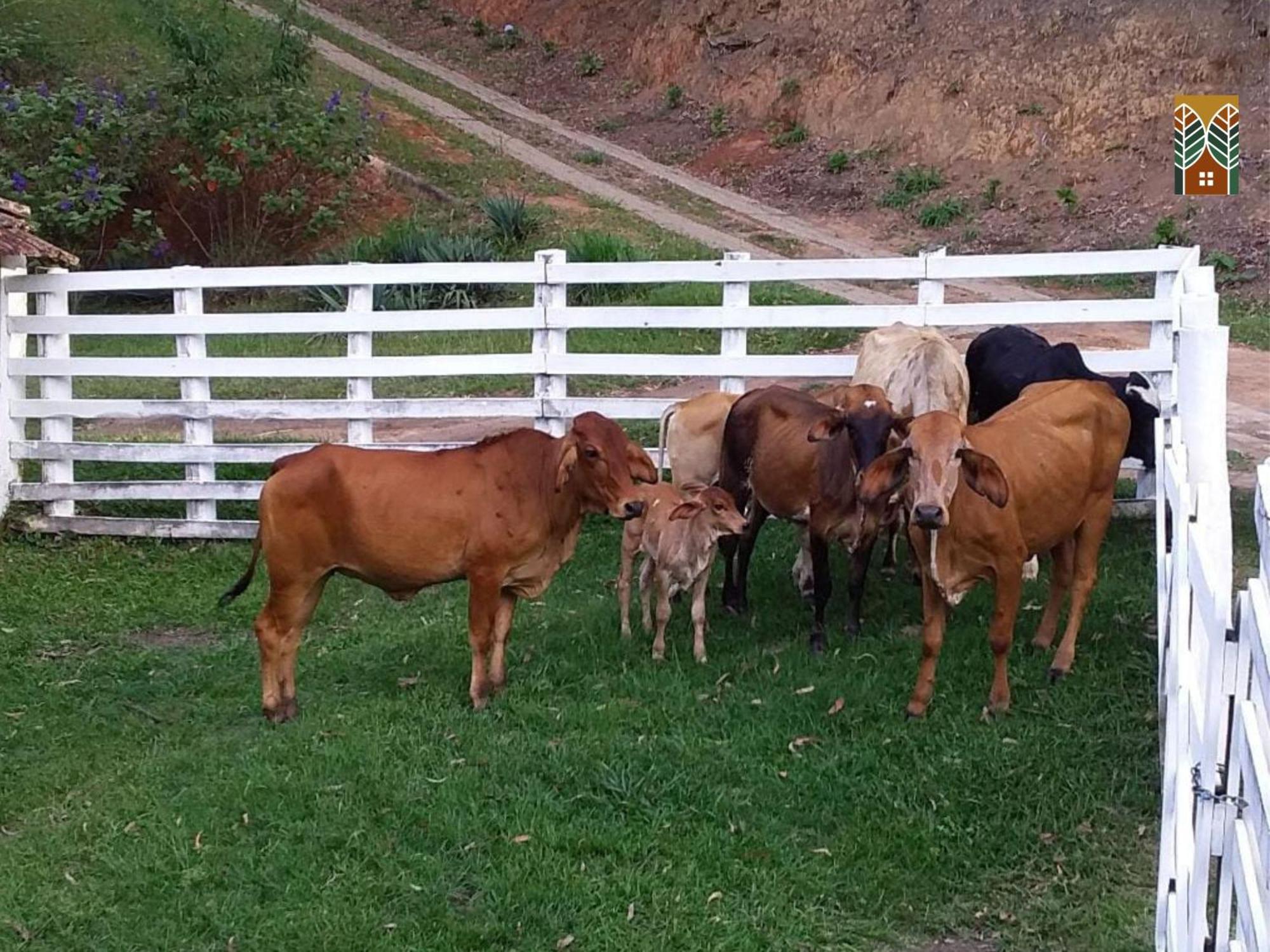 Chales Vinhas Da Harmonia L Pousada Em Cunha Sp Δωμάτιο φωτογραφία