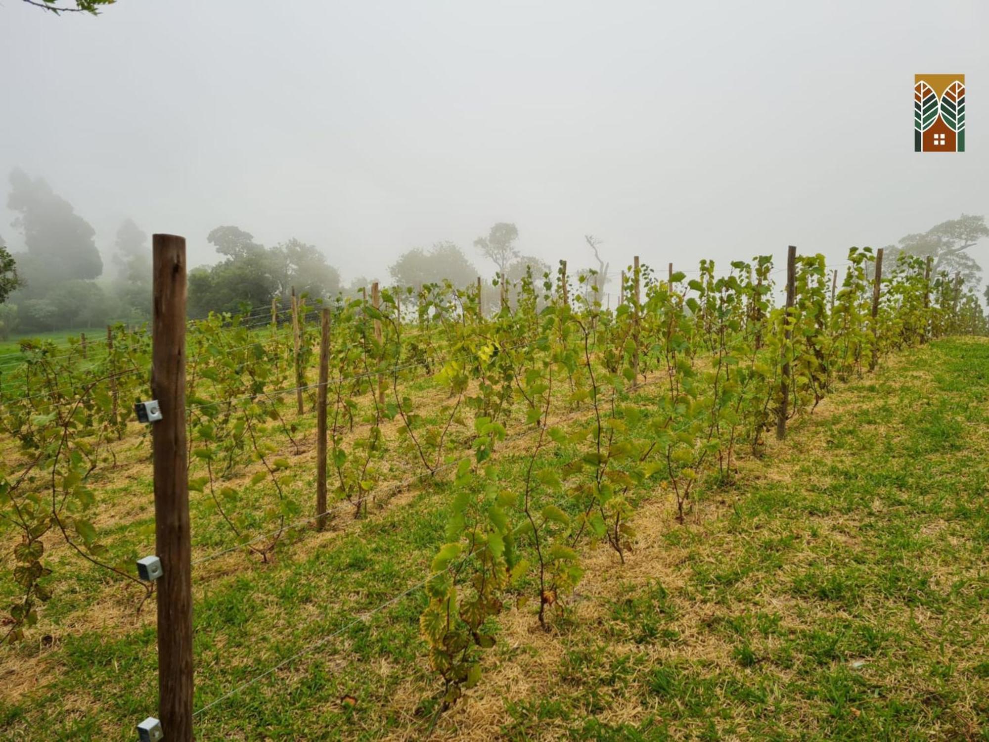 Chales Vinhas Da Harmonia L Pousada Em Cunha Sp Εξωτερικό φωτογραφία